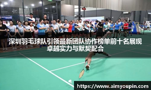 深圳羽毛球队引领最新团队协作榜单前十名展现卓越实力与默契配合